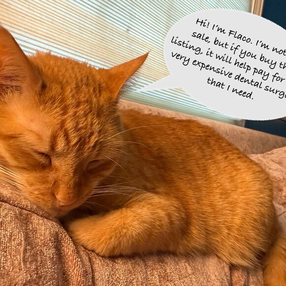 Ivey Abitz outfit, M, muted olive floral Clemmie Frock and Canterbury cardigan. - Picture 4 of 4